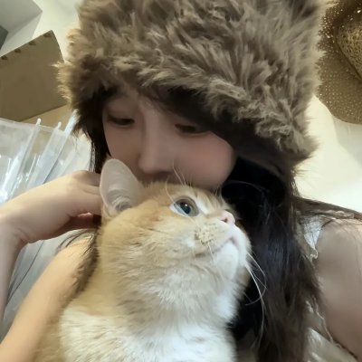 小金刚纽约大冒险